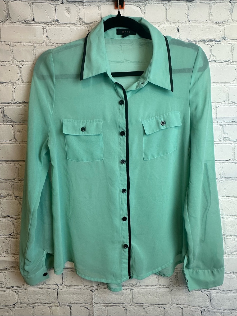 mine Mint Sheer Blouse with Black Trim